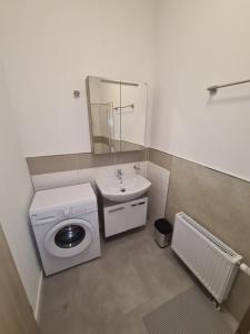 a bathroom with a washing machine and a sink at Apartament Suite 1 in Bernburg