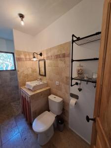 a bathroom with a toilet and a sink at Ferme de Roccapina in Sarragia