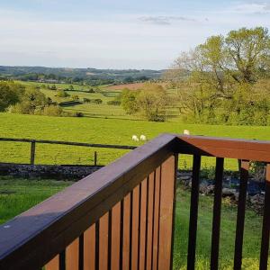 a wooden deck with a view of a field with sheep at The Rock self-catering holiday cottage and garden lodges in Coleford