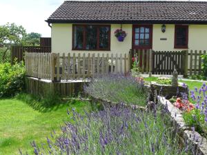 a house with a fence and purple flowers in front of it at The Rock self-catering holiday cottage and garden lodges in Coleford