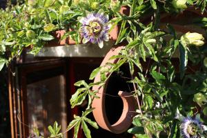 Jardí fora de Gîte l'Ecurie