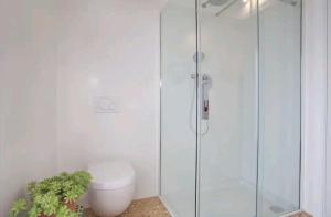 e bagno con servizi igienici e doccia in vetro. di B&B San Leonardo a Treviso