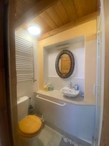 ein Bad mit einem WC und einem Waschbecken in der Unterkunft The Dragonfly BNB, Glastonbury in Glastonbury