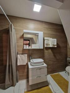 a bathroom with a sink and a toilet and a mirror at Holiday Old stone house in Sveti Ivan Zelina