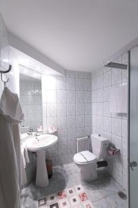 La salle de bains est pourvue de toilettes et d'un lavabo. dans l'établissement Vila Classic, à Galaţi