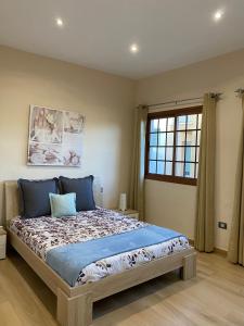 a bedroom with a bed with blue pillows and a window at apartamento tenerife in Icod de los Vinos