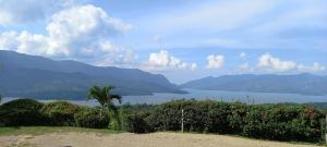 einen Blick auf einen See mit einer Palme und die Berge in der Unterkunft Hotel Hacienda La Fe in Bucaramanga