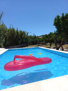 una piscina con oggetto rosso nell'acqua di Quinta da Ponte das Hortas 3 a Elvas