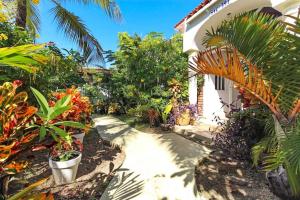 a path leading to a house with plants at Beach Walk Residences in Palm-Eagle Beach