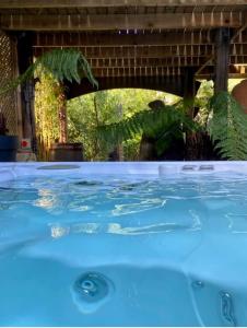 WOW! Jungle Cabin Hottub, 4 poster bed, Nr Coast في Martin: حوض استحمام ساخن مع ماء أزرق في حديقة