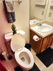 Bagno di The Davis Ridge