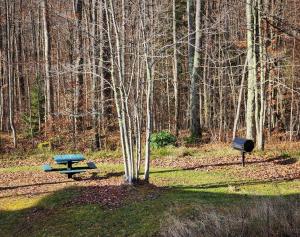 Giardino di The Davis Ridge