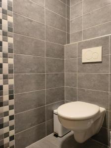 een badkamer met een toilet en een betegelde muur bij Apartment Staňkova in Brno