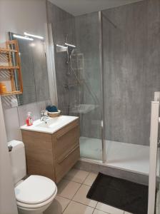 e bagno con doccia, servizi igienici e lavandino. di Ty Moutik a Plougonvelin