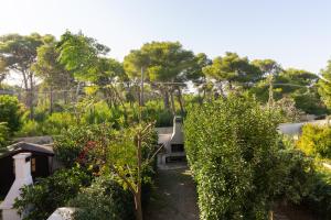 Elle offre une vue sur un jardin avec des arbres et une maison. dans l'établissement La casa di Bea - Torre dell'orso, à Torre dell'Orso