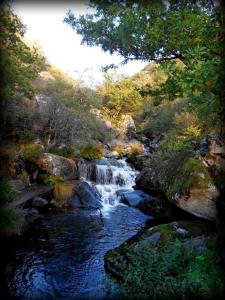 un ruisseau d'eau dans une forêt avec cascade dans l'établissement Casa da Laxa, à Magros