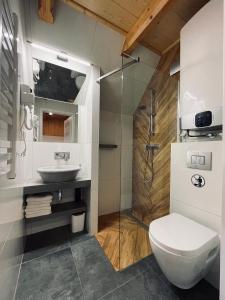 a bathroom with a toilet and a sink and a shower at Smrekowe Zacisze in Bańska Niżna