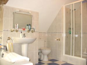 a bathroom with a shower and a sink and a toilet at La Maison Tournesol - 3 bedroom house with large garden near Saumur in Saint-Martin-de-la-Place +22 photos
