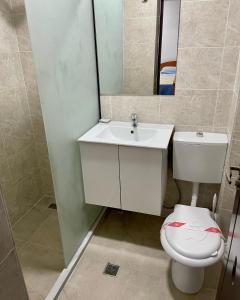 a bathroom with a toilet and a sink and a mirror at Hotel Tata Si Fii in Bechet