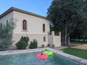赫羅納的住宿－Torre de Can Puig，两只飞盘在房子前的游泳池里