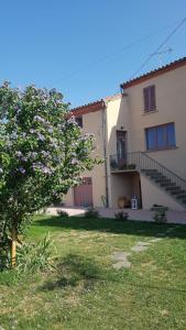 a house with a tree in front of a building at La chenevière in Saint-Rémy-de-Chargnat