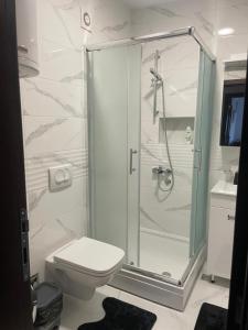 a bathroom with a shower and a toilet at Apartman Arcobaleno in Vrnjačka Banja