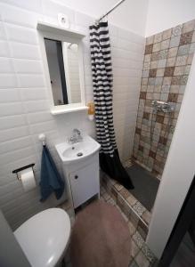 La salle de bains est pourvue de toilettes, d'un lavabo et d'une douche. dans l'établissement Étoile Apartman, à Eger