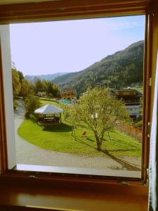 a window with a view of a park with a tree at Ciasa Gran Panorama Moena in Moena