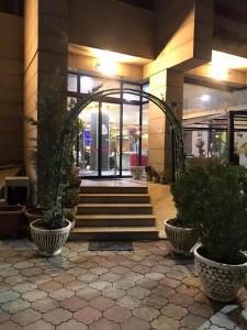 Hotel Sinaia Palace في أربيل: مدخل إلى مبنى يوجد أمامه نباتات الفخار