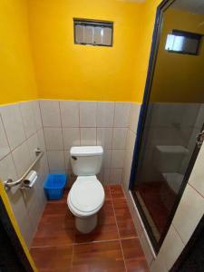 a bathroom with a toilet and a shower at Koi's House - Quebradillas de Dota in Santa María