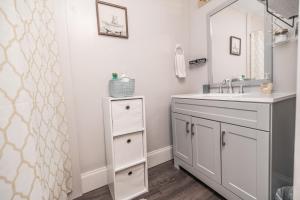 a bathroom with a sink and a mirror at Relaxed Asheville Apartment - Pet-Friendly in Asheville