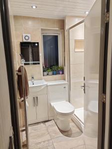 Dan's House في مانشستر: حمام صغير مع مرحاض ومغسلة