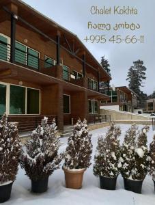 a group of potted trees in front of a building at Chalet Kokhta in Bakuriani