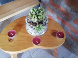uma planta numa tigela sobre uma mesa de madeira em Tarska Bajka em Bajina Bašta