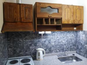 una cocina con armarios de madera y fregadero en Toto y teo en Mendoza