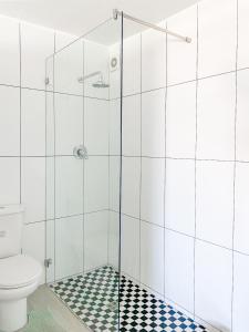 a bathroom with a shower with a toilet at Palace Hill Apartment in Cape Town