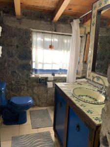 La salle de bains est pourvue de toilettes bleues et d'un lavabo. dans l'établissement Hermosa cabaña en el bosque, à Tres Marías