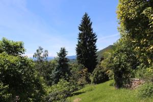 einen Blick aus dem Garten eines Hauses mit Bäumen in der Unterkunft Il Bell'Ovile, bellissima villa nel verde, con privacy garantita in Novaggio