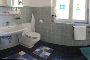 ein Bad mit einem WC und einem Waschbecken in der Unterkunft Il Bell'Ovile, bellissima villa nel verde, con privacy garantita in Novaggio