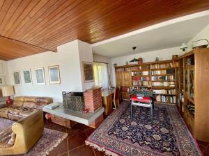 ein Wohnzimmer mit einem Sofa und Bücherregalen in der Unterkunft Il Bell'Ovile, bellissima villa nel verde, con privacy garantita in Novaggio