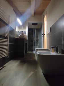 a bathroom with a tub and a sink and a shower at Chez Margot et Sophie in Torgnon