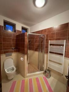a bathroom with a shower and a toilet in a room at Apartmán Brooklyn in Skalica