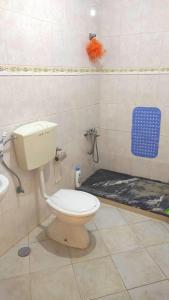 a bathroom with a toilet and a shower at Casa de Gá in Mindelo