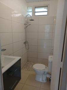 a bathroom with a toilet and a sink at Les Gîtes de Fond Bellemare in Case-Pilote