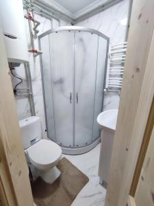 a bathroom with a shower and a toilet and a sink at Гостинний двір Матійчуків Новий in Vorokhta