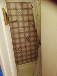 a shower with a shower curtain in a bathroom at Nid douillet Univers pour 2 - Ski et rando in La Bourboule