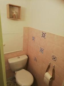 a bathroom with a toilet and a toilet paper dispenser at Nid douillet Univers pour 2 - Ski et rando in La Bourboule