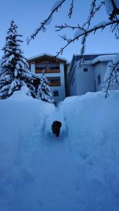 Hotel Crusch Alba Sta Maria talvel