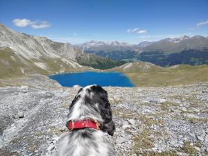 Loodusmaastik hotelli lähedal