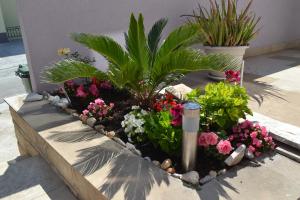 a garden with flowers and plants in a planter at Apartment Bešlić in Makarska